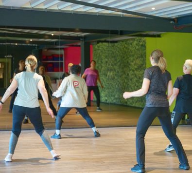 Ponsen_Zumba_3 (Groot) Zumba 3